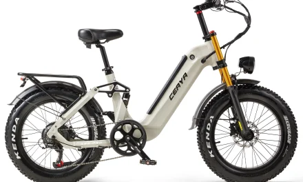 A Ceaya A20 PRO e-bike: Erős társ a mindennapi használatra