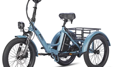 5 érv a FAFREES F20 MATE elektromos háromkerekű mellett