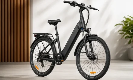 Dyu C6 e-bike: kényelem és erő a mindennapokban