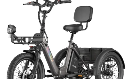 5 ok amiért a FAFREES F20 Mate II elektromos háromkerekű ideális választás számodra